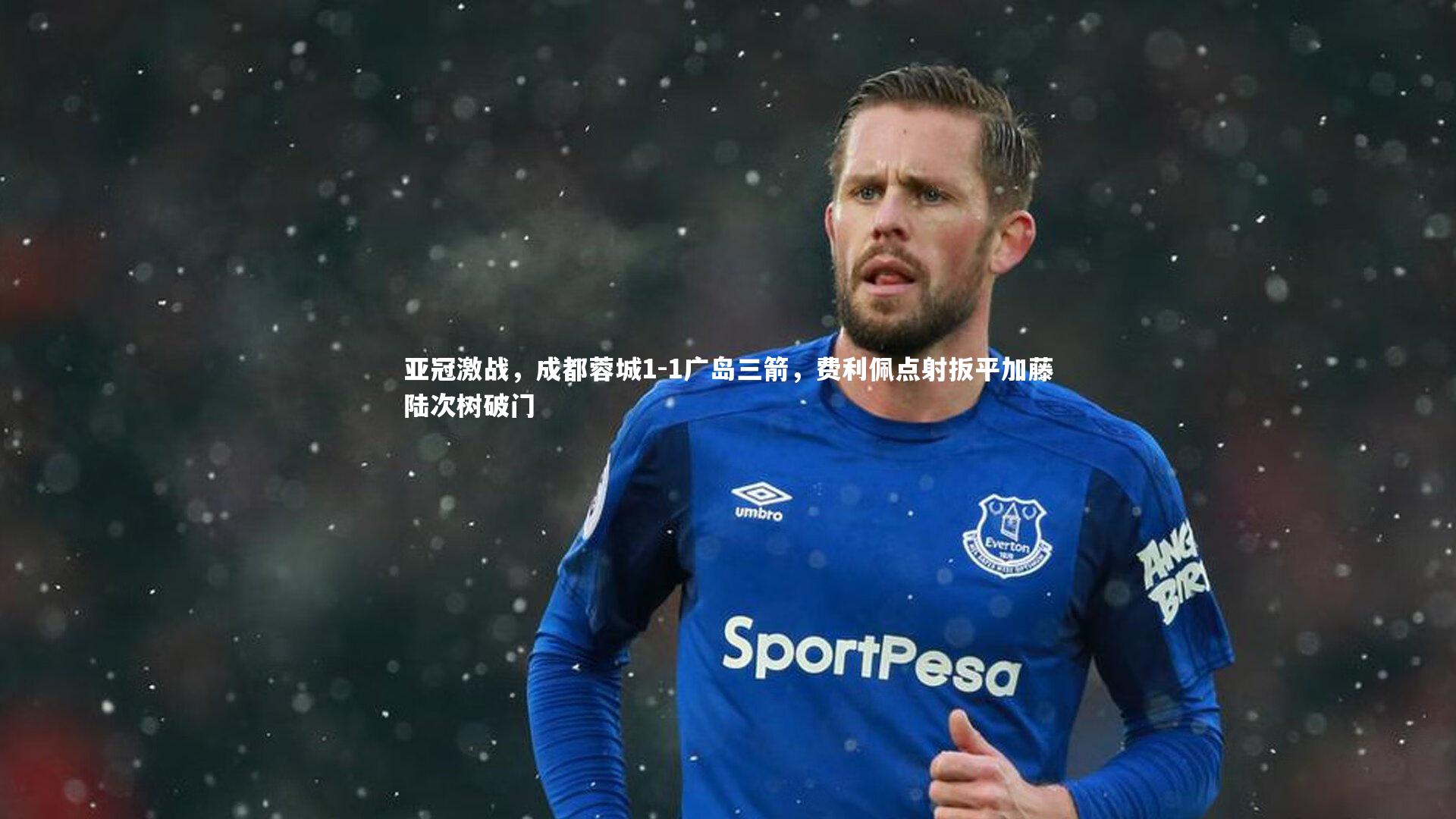亚冠激战，成都蓉城1-1广岛三箭，费利佩点射扳平加藤陆次树破门